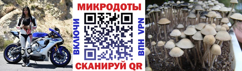 закладка  Ижевск  blacksprut ссылки  Галлюциногенные грибы прущие грибы 